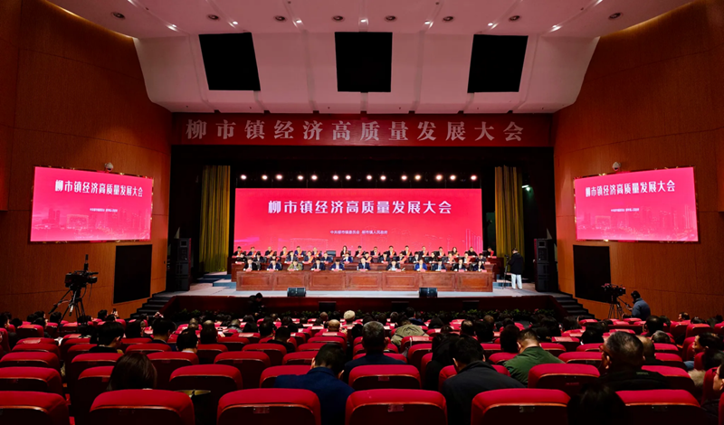 鴻寶公司榮獲“2023年度柳市出口十強企業、明星企業” 等多項榮譽